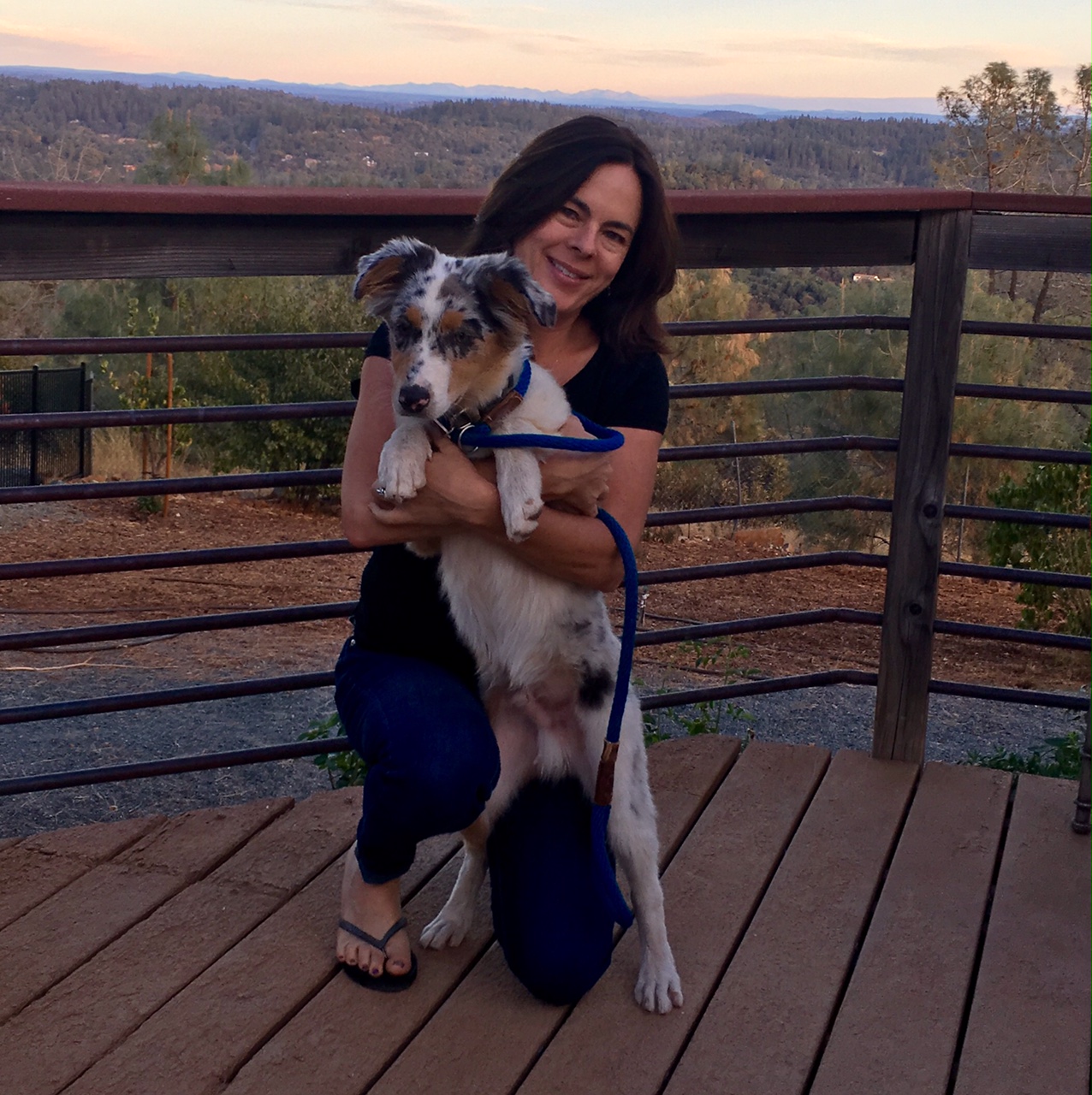 San Geronimo Valley veterinary clinic Lagunitas, CA Our Doctors